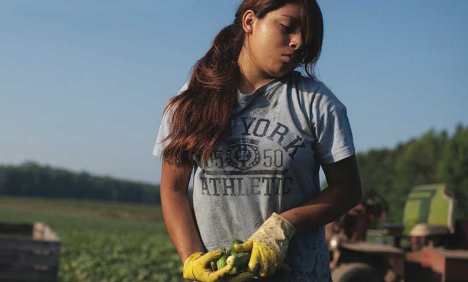 The Harvest/La Cosecha